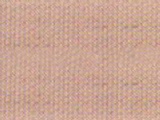 铁氟龙网带